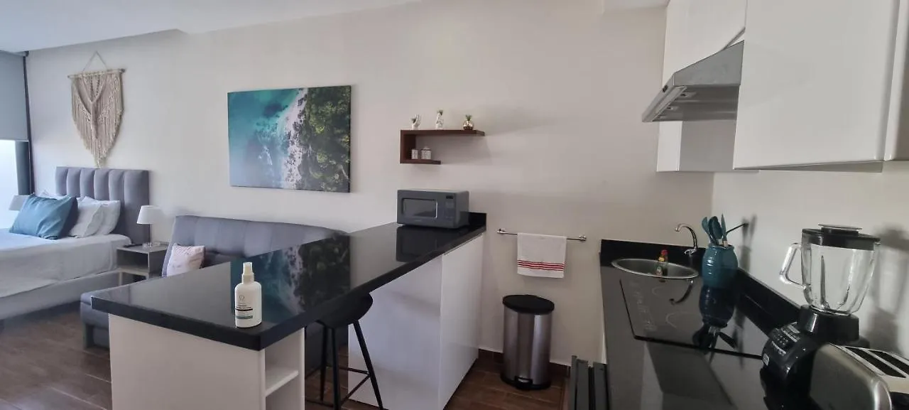アパート Cozy Studio With Wifi & Netflix プレヤデルカーメン メキシコ